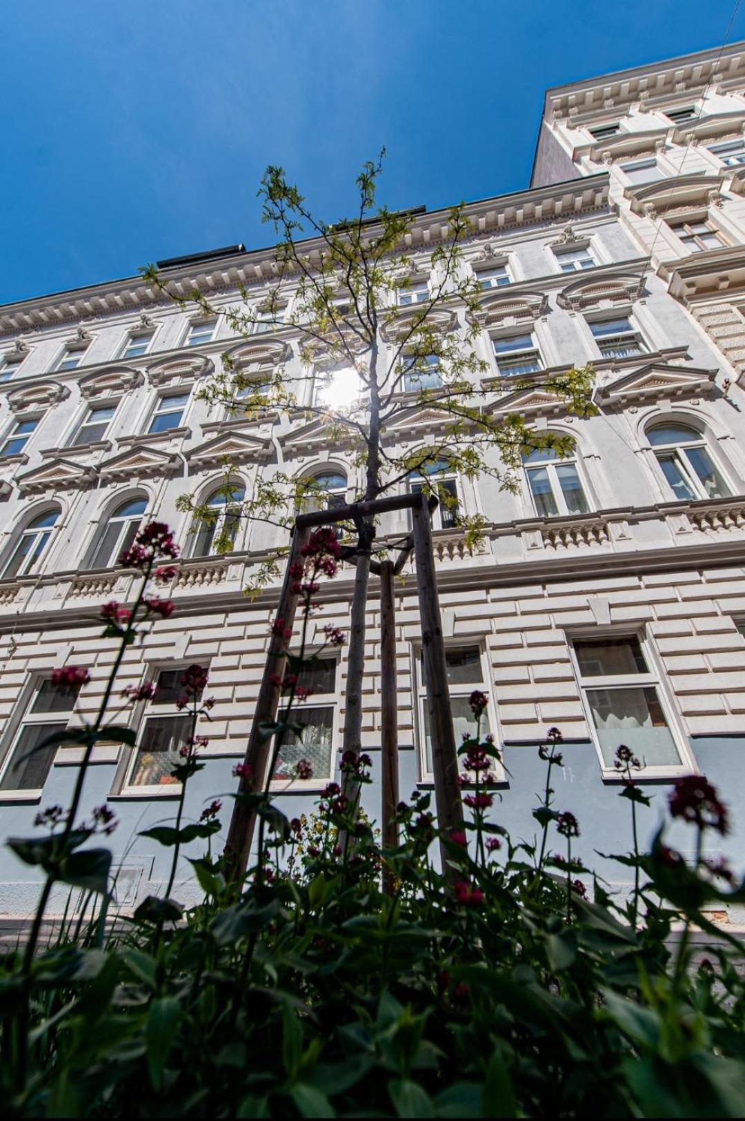 Apartment With Balcony Near Augarten Вена Экстерьер фото